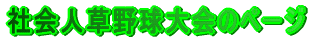 Љl싅̃y[W